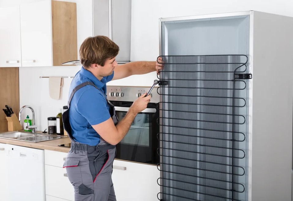 LG refrigerator repair - Common Problems and How to Repair Them